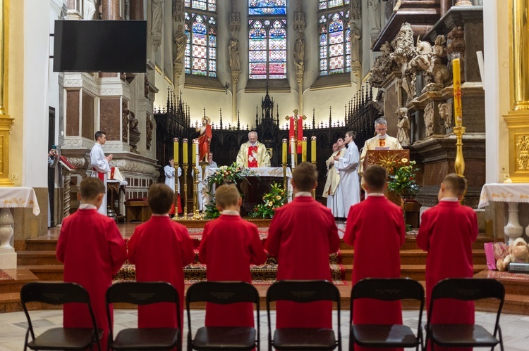 Katedra. Błogosławieństwo nowych ministrantów