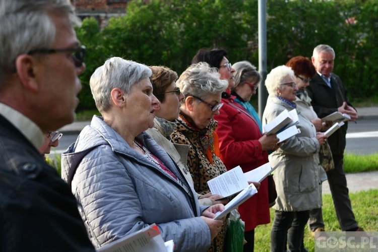 Majowe przy przydrożnym krzyżu