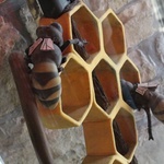 Interaktywne Centrum Pszczelarstwa Apilandia