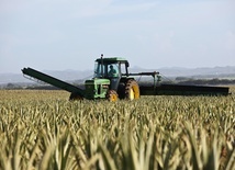 Sejm we wtorek zajmie się pakietem ustaw o pomocy dla rolników