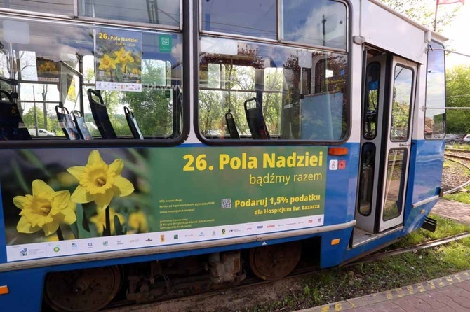 Żonkilowy tramwaj 2023