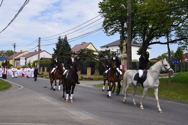 Kardynał Müller w Szczepanowie 
