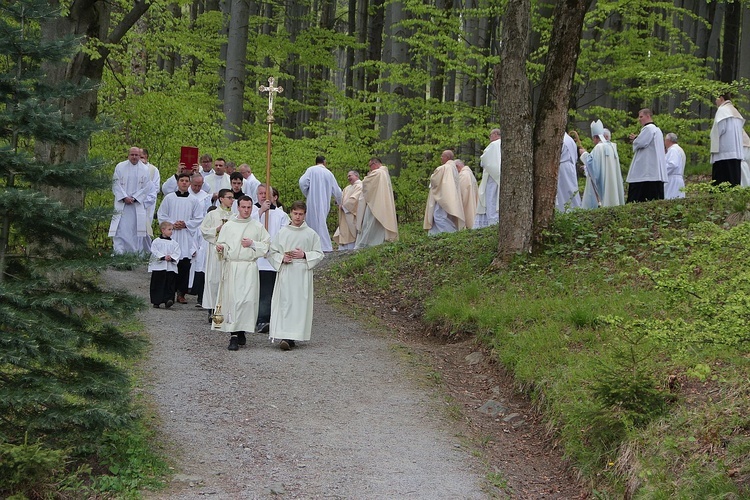 Pielgrzymka rodzin do sanktuarium w Zlatych Horach