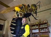 Pasieka u Trutnia