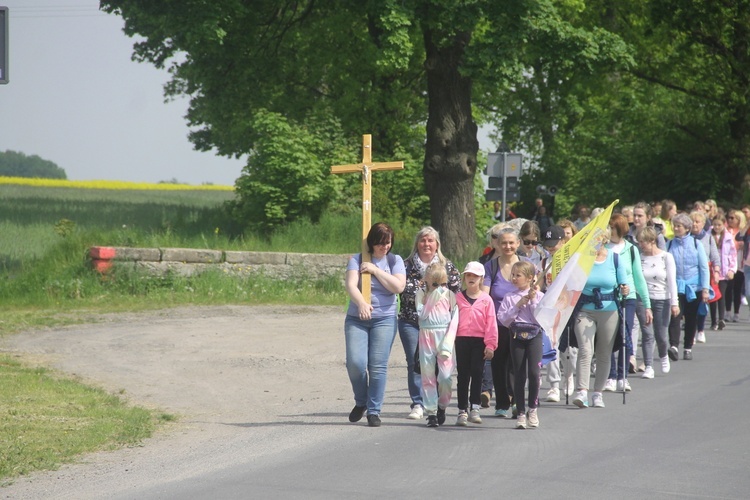 Słoneczna, choć Gwiaździsta 