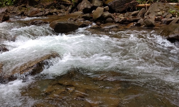 Woda żywa Ducha Świętego