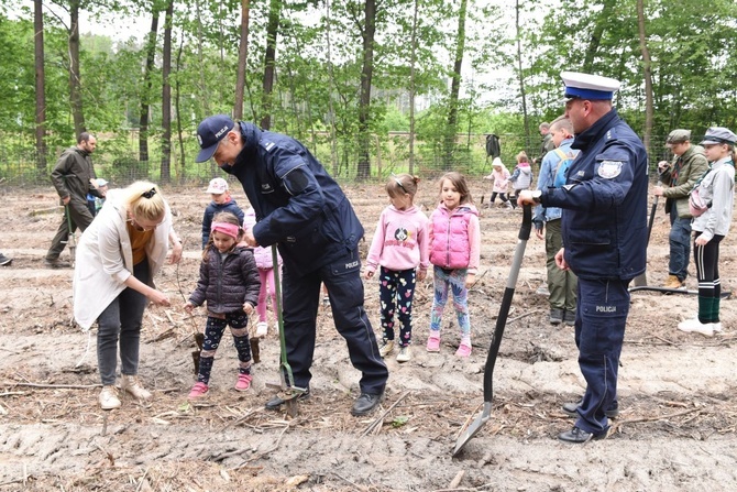 Las Jana Pawła II w Brzesku