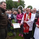 Drzewa świętych w Szczepanowie