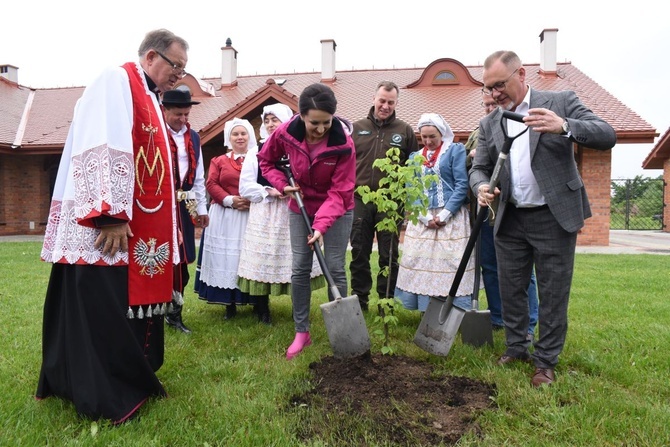 Drzewa świętych w Szczepanowie