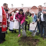 Drzewa świętych w Szczepanowie