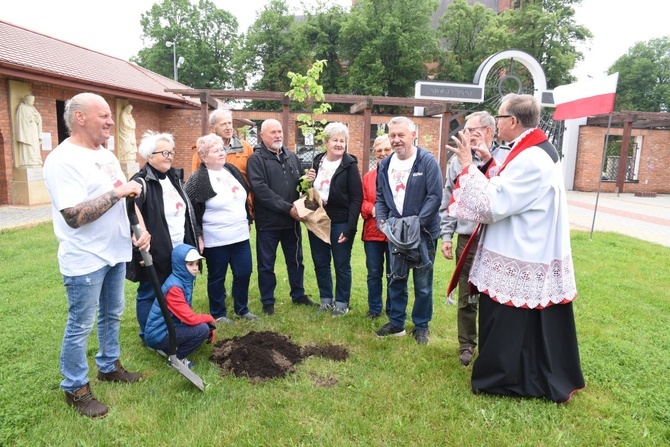 Drzewa świętych w Szczepanowie