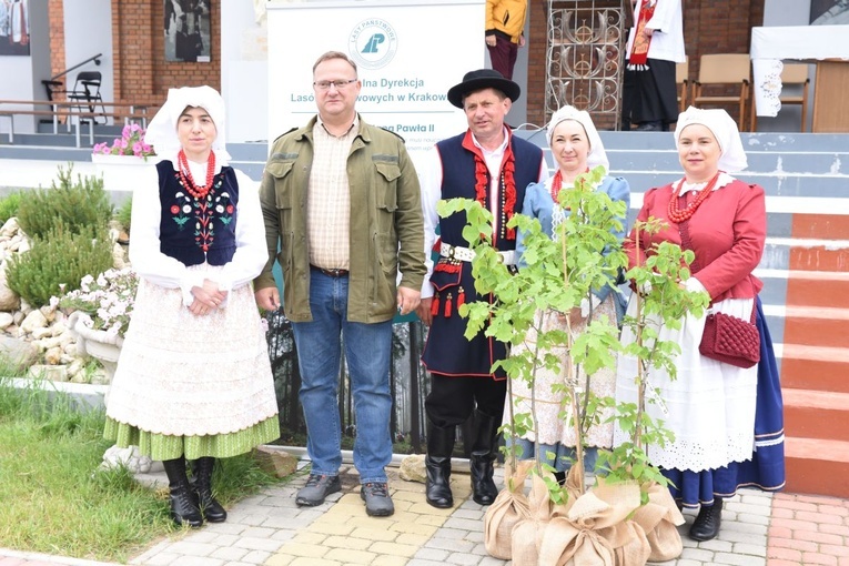 Drzewa świętych w Szczepanowie