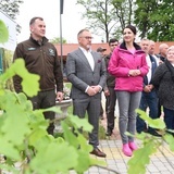 Drzewa świętych w Szczepanowie