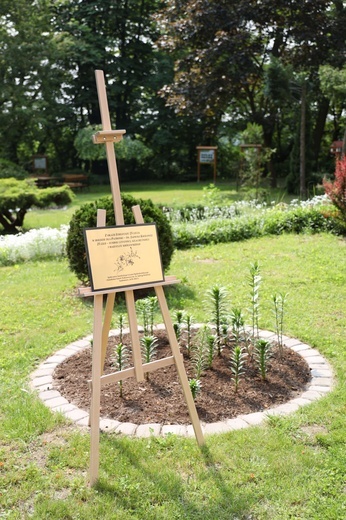 Srebrny jubileusz sandomierskiego "katolika"