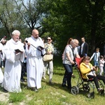 Zielone Świątki na Bielanach