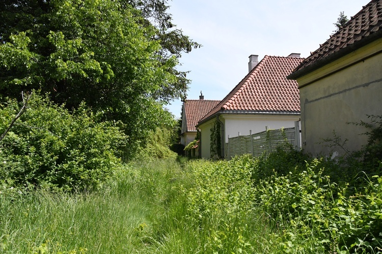 Zielone Świątki na Bielanach