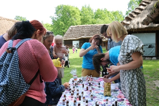 Piknik rodzinny w skansenie