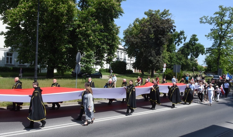 Płock. Marsz i święto rodziny