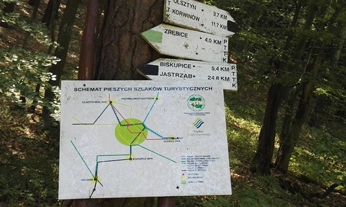 Śląskie. Rezerwat Sokole Góry na Jurze nieznacznie powiększony