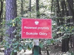 Śląskie. Rezerwat Sokole Góry na Jurze nieznacznie powiększony