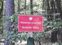 Śląskie. Rezerwat Sokole Góry na Jurze nieznacznie powiększony