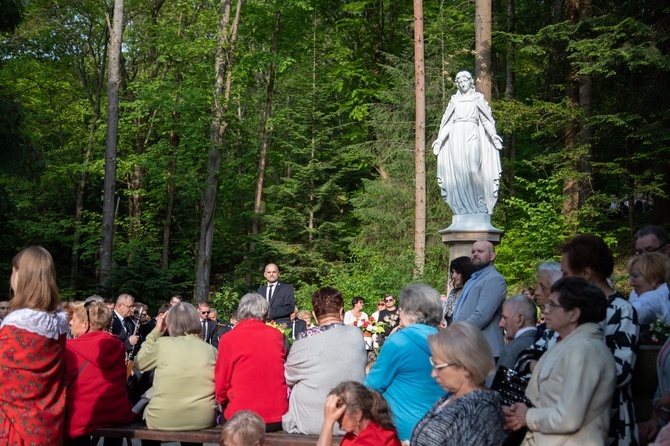 Procesja na Górę Parkową