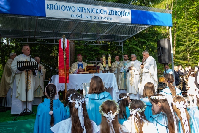 Procesja na Górę Parkową