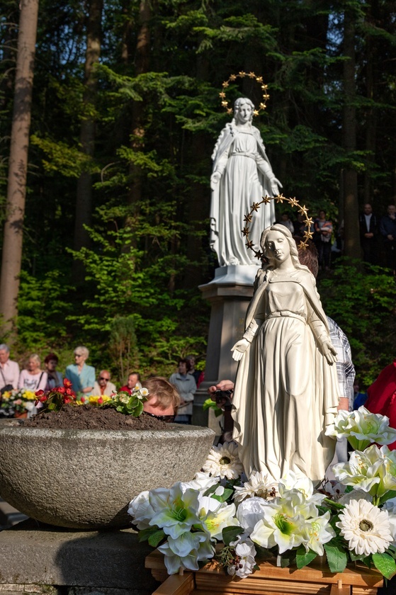 Procesja na Górę Parkową