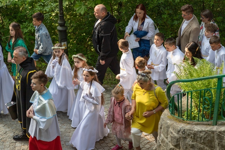 Procesja na Górę Parkową