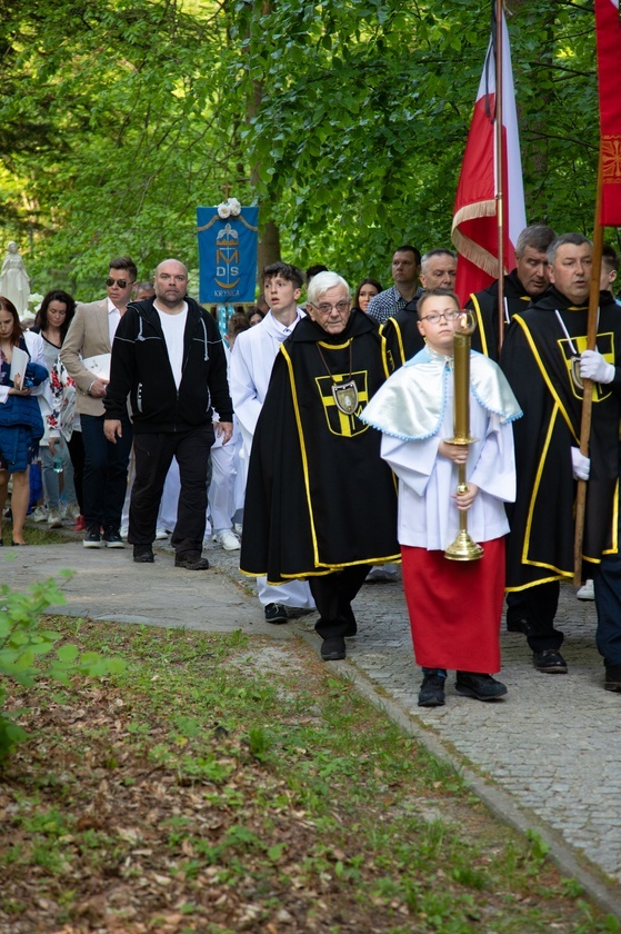 Procesja na Górę Parkową