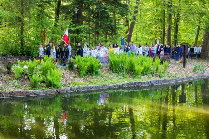 Procesja na Górę Parkową