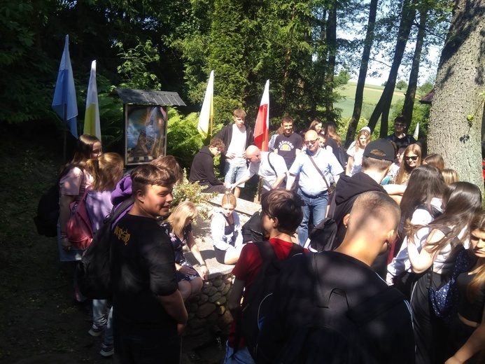 Śladami bł. Mistrza Wincentego