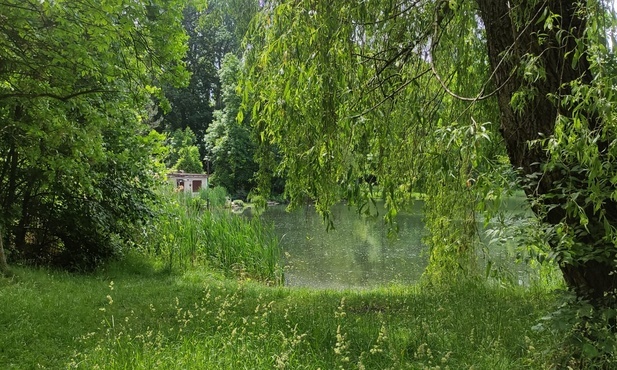 Świętochłowice. Teren wokół stawów Zacisze-Magiera i Matylda w zyska drugie życie