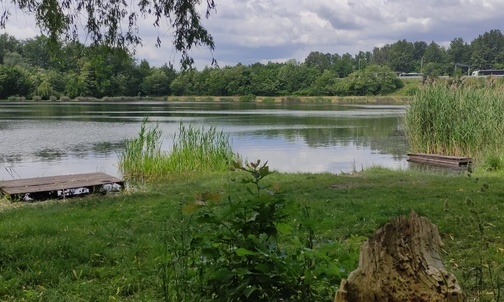 Świętochłowice. Teren wokół stawów Zacisze-Magiera i Matylda w zyska drugie życie