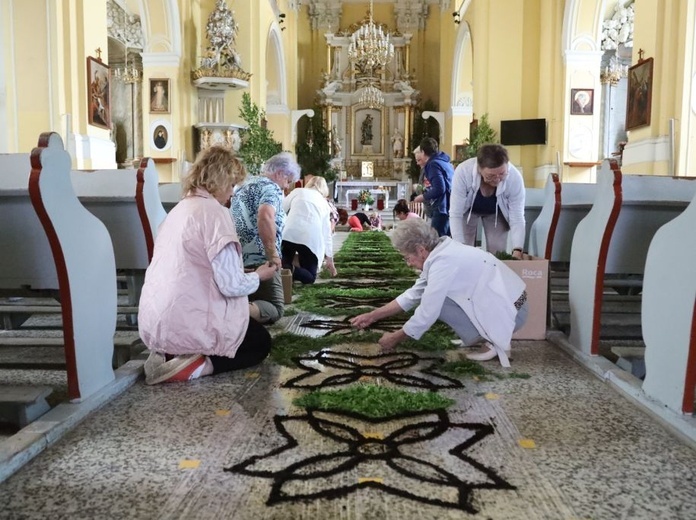 Dywan z kwiatów w Głogowie