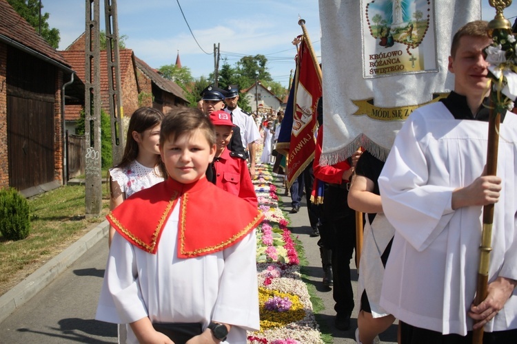 Procesja Bożego Ciała po kwietnych dywanach w Zalesiu Śląskim