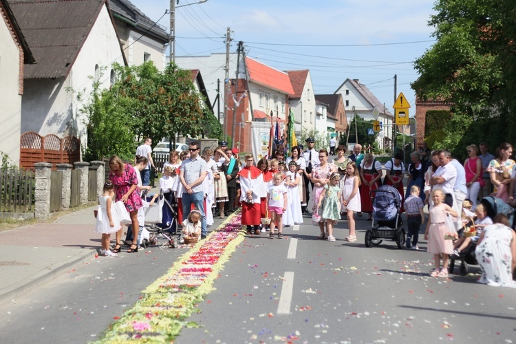 Procesja Bożego Ciała po kwietnych dywanach w Zalesiu Śląskim