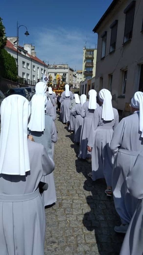 Kwietne dywany w Trzebnicy i Małuszynie