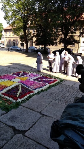 Kwietne dywany w Trzebnicy i Małuszynie