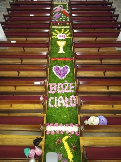 Kwietny dywan w Brzegu Dolnym