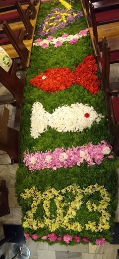 Kwietny dywan w Brzegu Dolnym