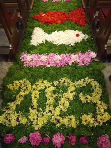 Kwietny dywan w Brzegu Dolnym