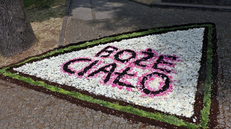 Kwietny dywan w parafii pw. św. Jadwigi na Kozanowie 2023