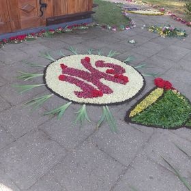 Dywan kwiatowy w parafii św. Andrzeja Apostoła w Brwilnie