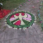 Dywan kwiatowy w parafii św. Andrzeja Apostoła w Brwilnie