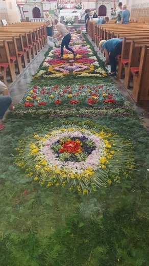 Dywan kwiatowy w parafii pw. św. Jana Chrzciciela w Gołyminie