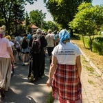 Zwieńczenie drogi do bł. Doroty