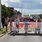 Ostrowiecki marsz dla życia i rodziny