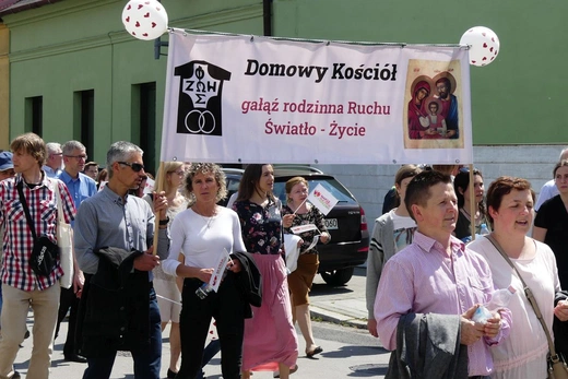 5. Marsz dla Życia i Rodziny w Żywcu - 2023
