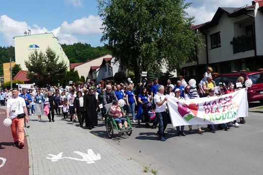 5. Marsz dla Życia i Rodziny w Żywcu - 2023